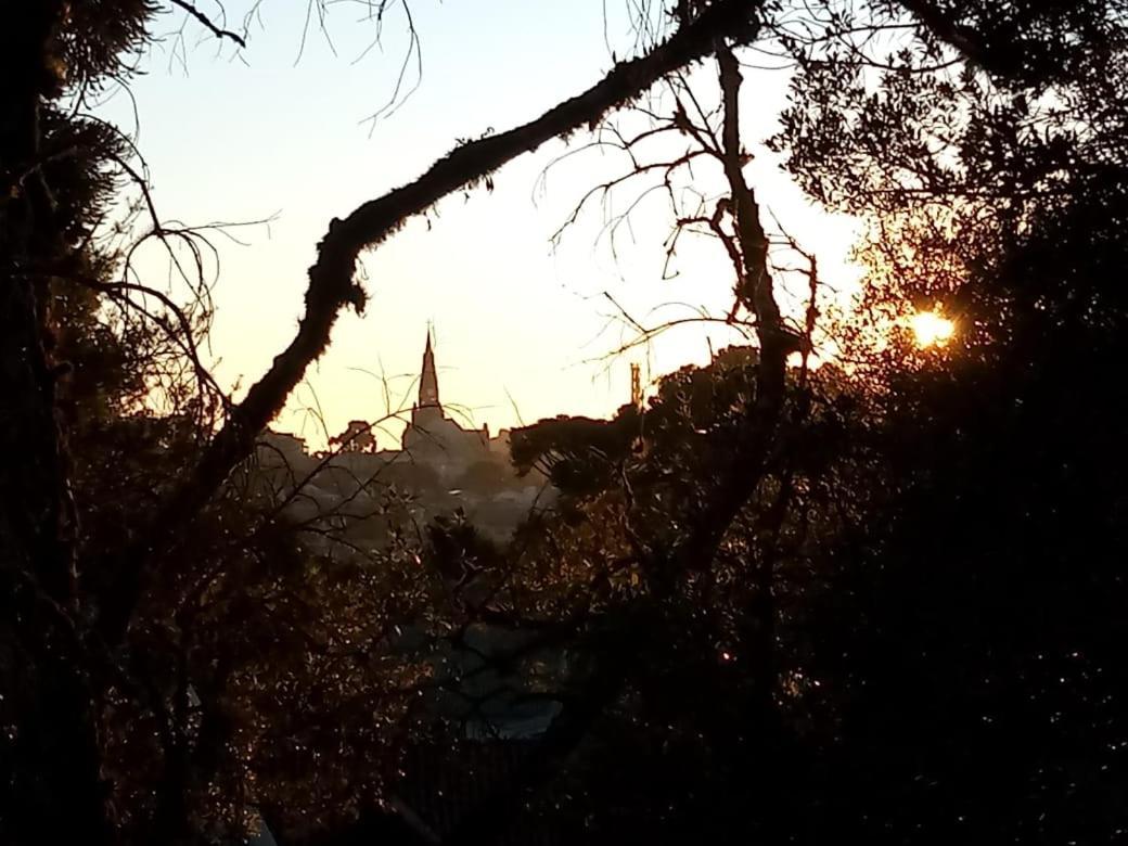 Hotel Pousada Dos Pinheiros カネラ エクステリア 写真