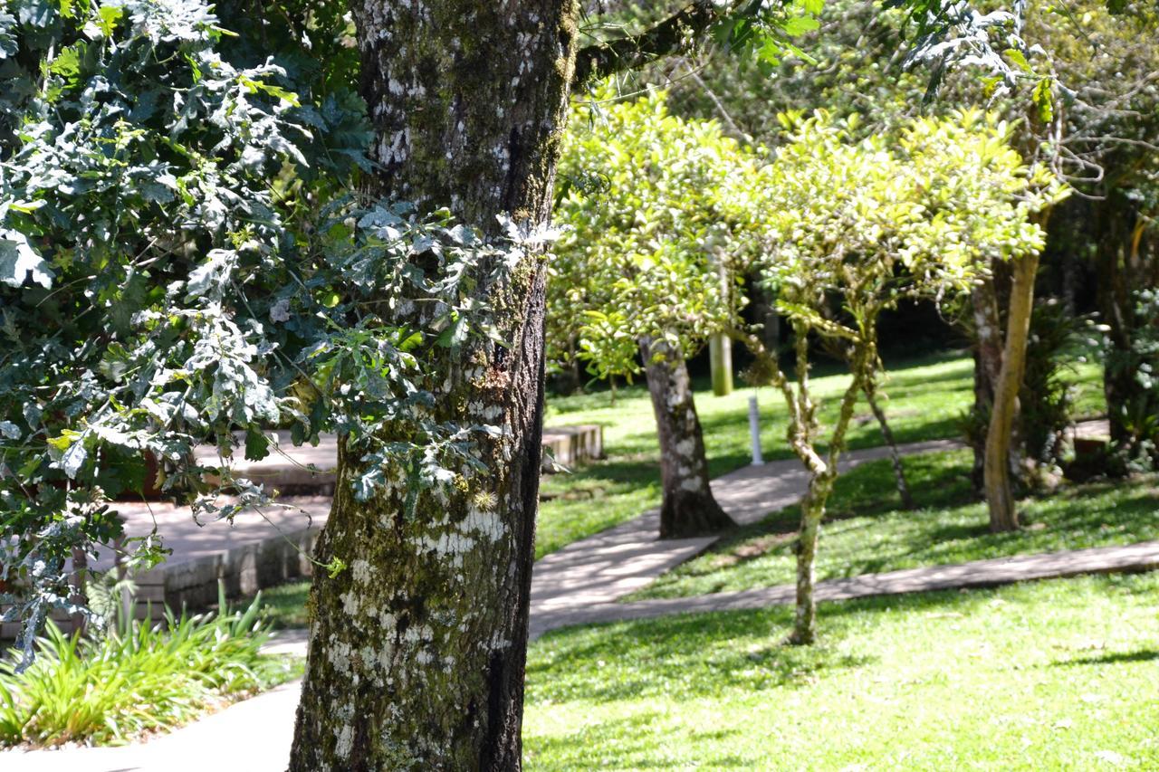 Hotel Pousada Dos Pinheiros カネラ エクステリア 写真